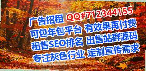 本地卵妹互联网工作室
